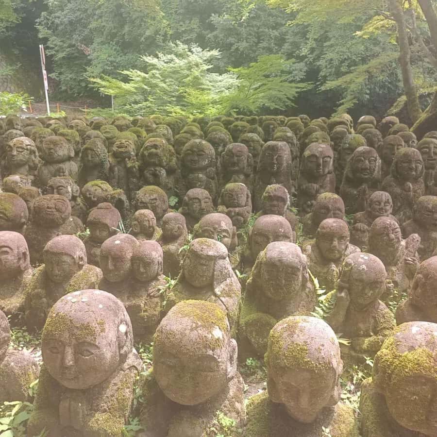 Kyoto: Private Customizable Day Trip by Car - What you get from the driver: guidance without hovering