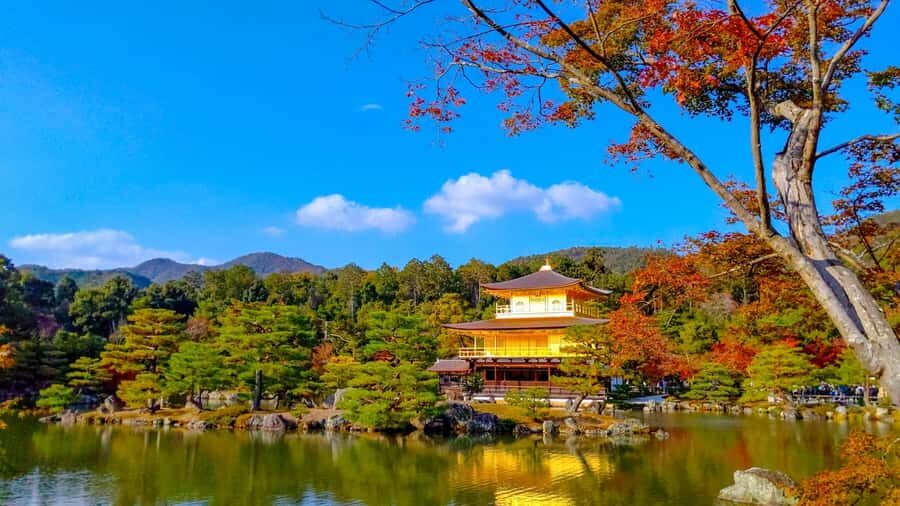 Kyoto: Private Customizable Day Trip by Car - Price and value: $581 per group is about control