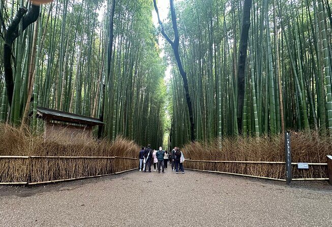 Kyoto Private Customizable Day Trip With English chauffeur - Key Things That Make This Day Trip Work