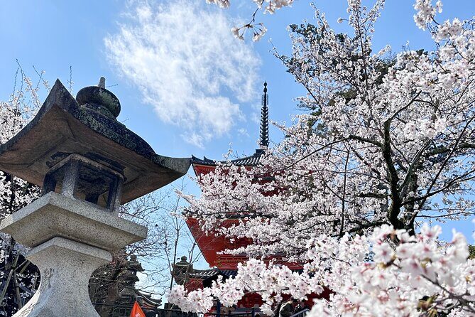 Kyoto Private Customizable Day Trip With English chauffeur - Stop 2: Kinkaku-ji Golden Pavilion Without the Entry Ticket