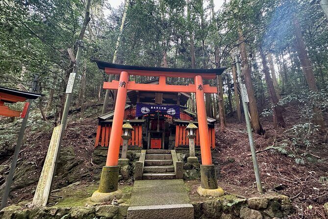 Kyoto Private Customizable Day Trip With English chauffeur - Stop 1: Arashiyama and the Bamboo Grove Atmosphere