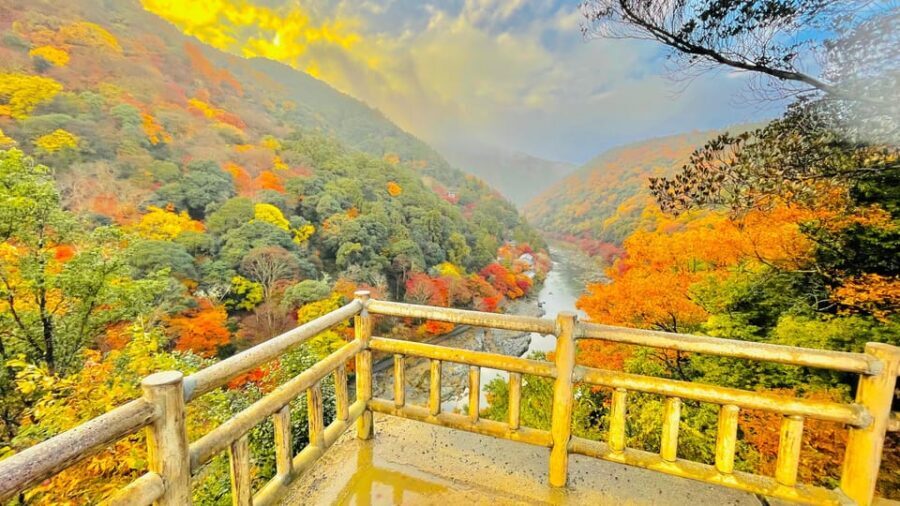 Kyoto: Private Customizable Guided tour with Luxury Vehicle - How the private, customizable format changes your Kyoto day
