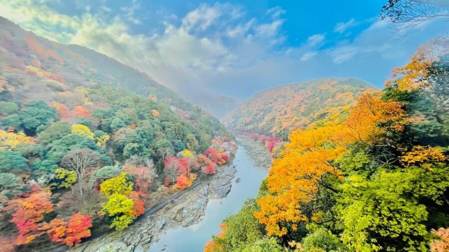 Kyoto: Private Customizable Guided tour with Luxury Vehicle - Your one-day route: from Arashiyama sunrise to Fushimi Inari nights
