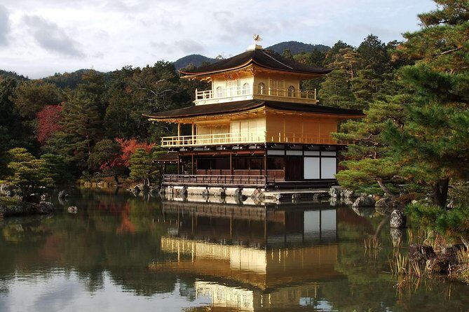 Kyoto Private Customizable Half Day Tour - Nijō Castle: a double-ring fortress with palace drama