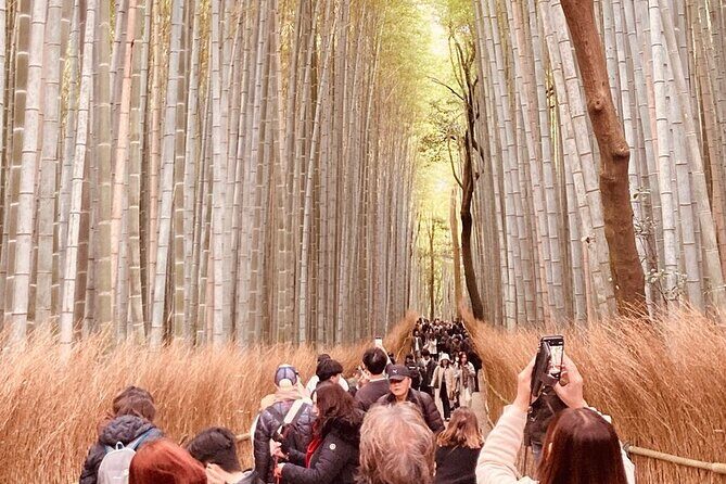 Kyoto Private & Customizable Tour with English-Speaking Driver - Price and Value: $510 per Group for Up to 6 People
