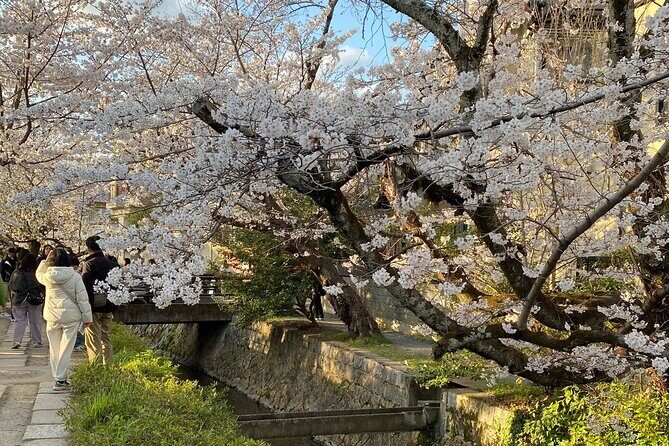 Kyoto Private & Customizable Tour with English-Speaking Driver - Fushimi Inari and Sanjūsangendō: torii paths plus a hall of 1,001 statues