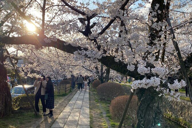 Kyoto Private & Customizable Tour with English-Speaking Driver - How Customization Actually Plays Out on an 8 to 10 Hour Day