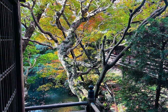 Kyoto Private & Customizable Tour with English-Speaking Driver - Getting In and Out of Kyoto: Pickup, Mobile Tickets, and Comfort