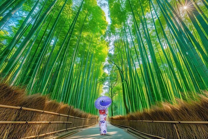 Kyoto Private Customized Day Tour with Guide - Key highlights that make this tour worth your time
