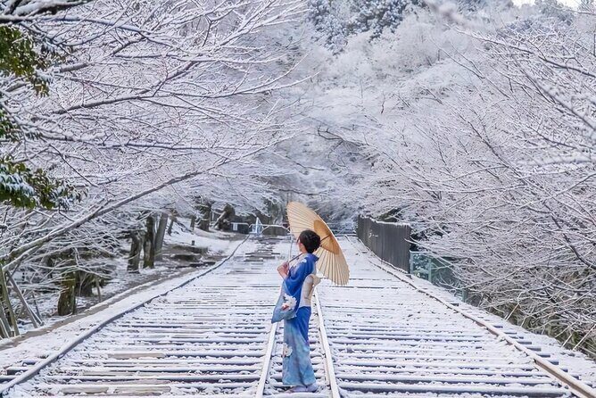 Kyoto Private Customized Day Tour with Guide - Hotel pickup and private car time: what you gain (besides comfort)