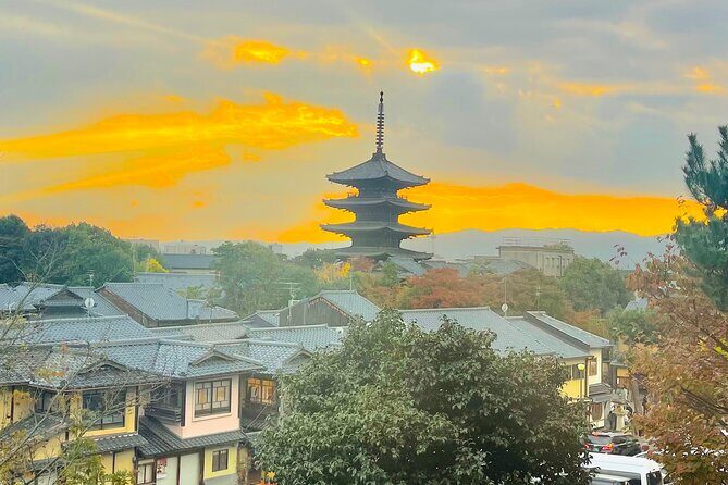 Kyoto Private Customized Day Tour with Guide - Stop 3: Nijo Castle’s Edo-era punch in about an hour