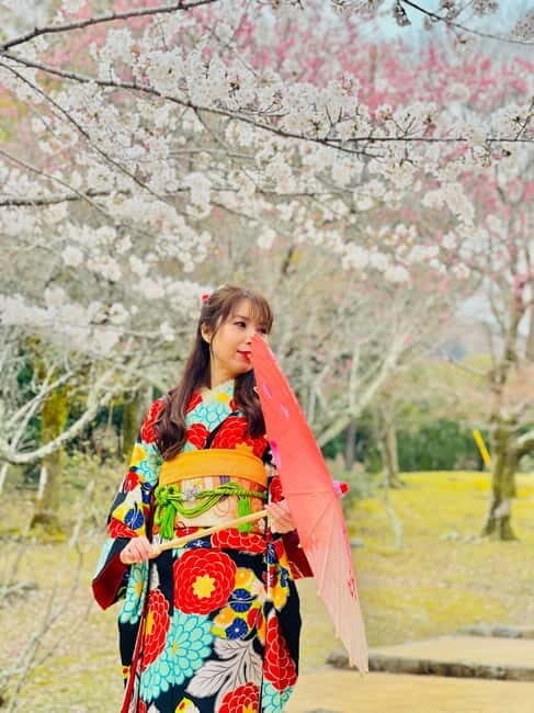 Kyoto: Private Customized Tour With English Speaking Guide - Gion’s preserved streets: portraits without losing the story