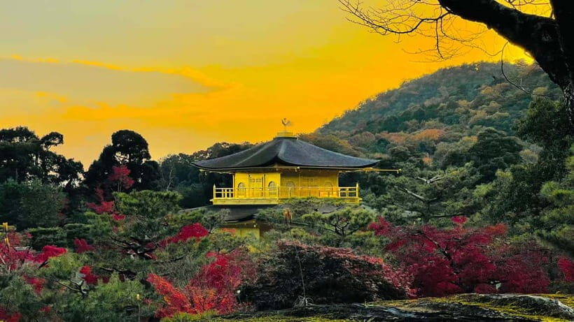 Kyoto: Private Customized Tour With English Speaking Guide - Kiyomizu-dera and the Pontocho pass-by: big temple energy, then river-night vibes