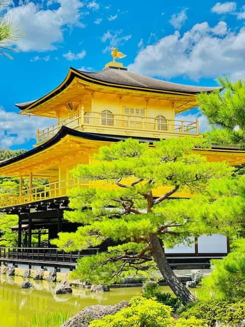 Kyoto: Private Customized Tour With English Speaking Guide - Fushimi Inari Taisha: thousands of torii gates, handled with a plan