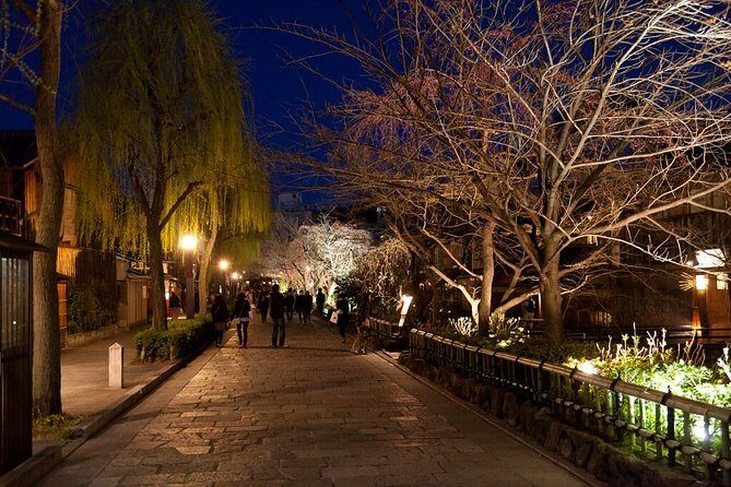 Kyoto Private Day Tour with English-Speaking Driver from Kyoto - Gion lanes and lantern light: old-town Kyoto with a real-world vibe
