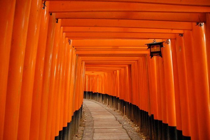 Kyoto Private Day Tour with English-Speaking Driver from Kyoto - Arashiyama Bamboo Forest: the calm walk that sets the tone