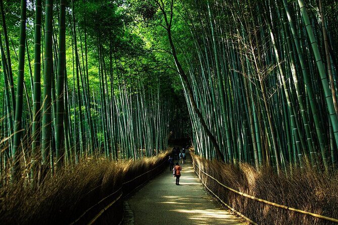 Kyoto: Private Flexible 3 hours tour with a local guide - Who you’ll probably enjoy this tour with