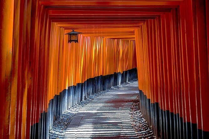Kyoto: Private Flexible 3 hours tour with a local guide - What to expect on the day: walking, timing, and guide support