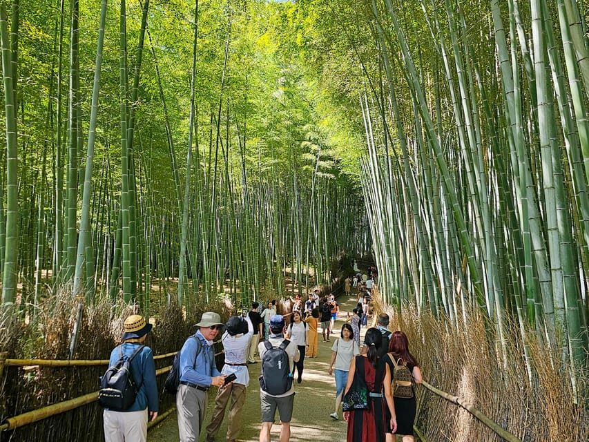 Kyoto: Private Full-Day Customizable World Heritage Tour - Meeting points and the flexible structure of your day