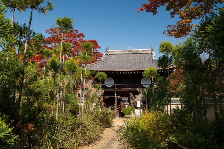 Kyoto: Private Full-Day Customizable World Heritage Tour - Stop by stop: Kyoto Botanical Gardens, Kinkaku-ji, and the Arashiyama temples