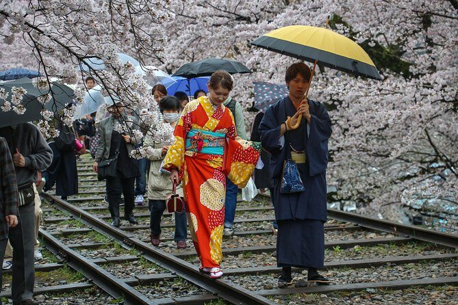Kyoto Private & Personalized Half-Day Walking Tour with a Local - The 1895 torii approach: why emperors and Kyoto’s founding matter