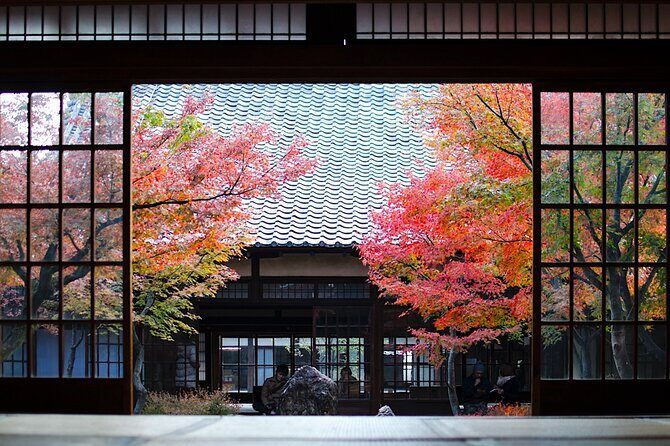 Kyoto Private Tour: One Day Highlights and Cultural Gems - Key Points Worth Your Time