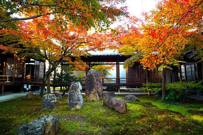 Kyoto Private Tour: One Day Highlights and Cultural Gems - Fushimi Inari-taisha: Red Torii Walk and the Timing Advantage