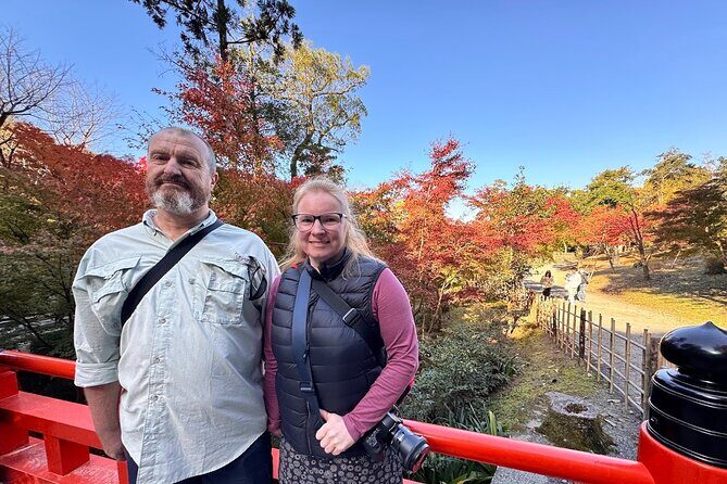 Kyoto Private Tour: One Day Highlights and Cultural Gems - Meeting at Kyoto Station and Getting Around Smoothly