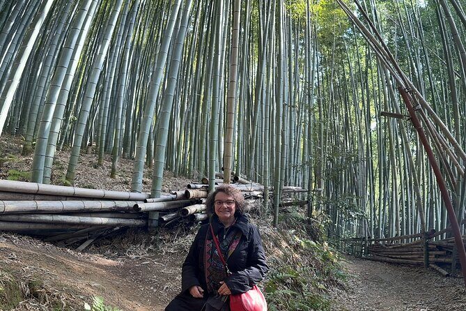Kyoto Private Tour with Customized Itinerary - Fushimi Inari-taisha: torii gates, fox details, and good timing