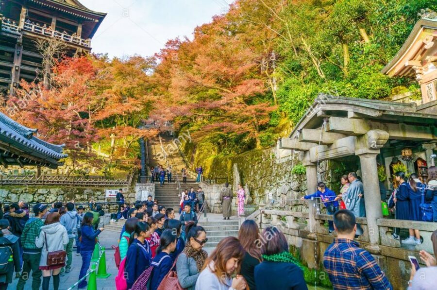 Kyoto: Private Tour with Local Licensed Guide - Choosing 4, 6, or 8 hours: how to match Kyoto to your energy