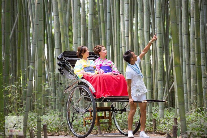 Kyoto Rickshaw Tour - Key things to know before you ride