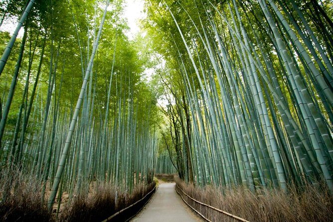 Kyoto Sagano Insider: Rickshaw and Walking Tour - Key highlights at a glance