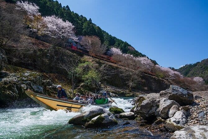 Kyoto Sagano Romantic Train in Arashiyama Bus Tour - Arashiyama time (and the bamboo zone effect)