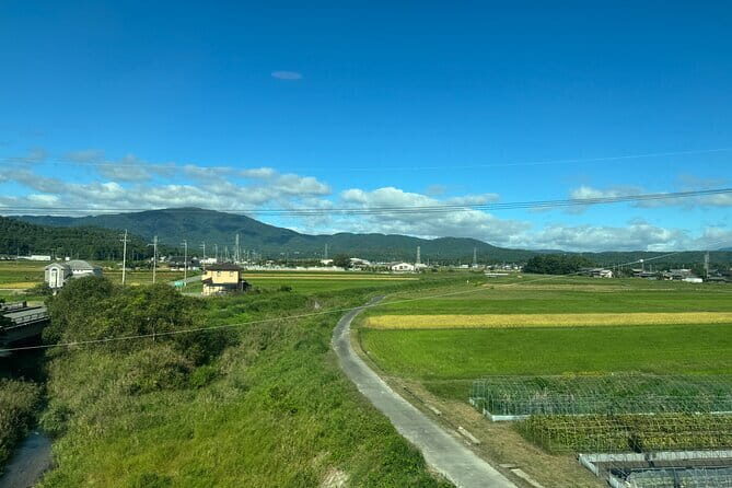 Kyoto Satoyama Cycling with Lunch and English Guide - Stop 4: A shrine tied to Tanba agriculture and a thatched roof