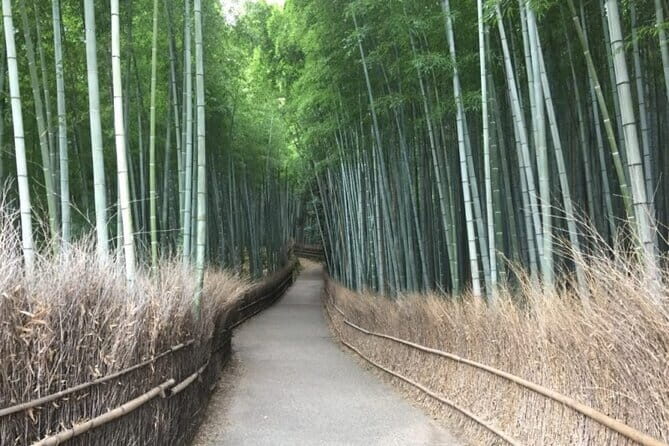 Kyoto Shogun Cycling Tour - Bikes, helmets, rainwear: you can travel light