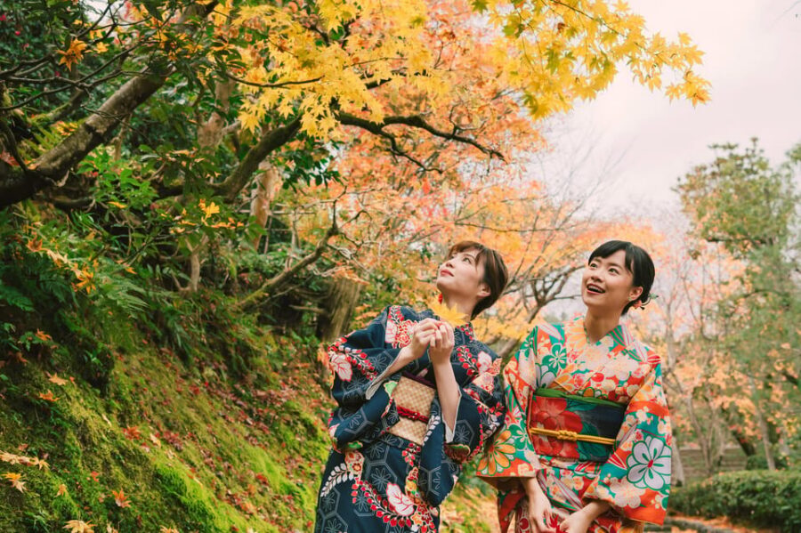 Kyoto: Tea Ceremony in 100-year-old Kyo-Machiya Townhouse - The Tea Ceremony Steps: From Tea’s Arrival to Your First Bowl