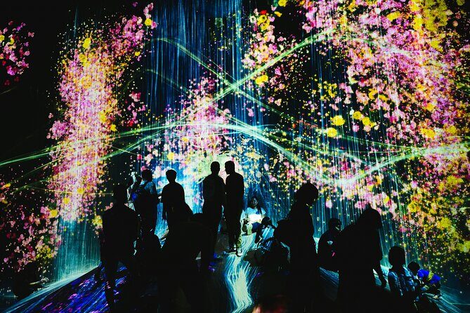 Kyoto TeamLab Biovortex & Kyoto Walking Tour - Quick Hits