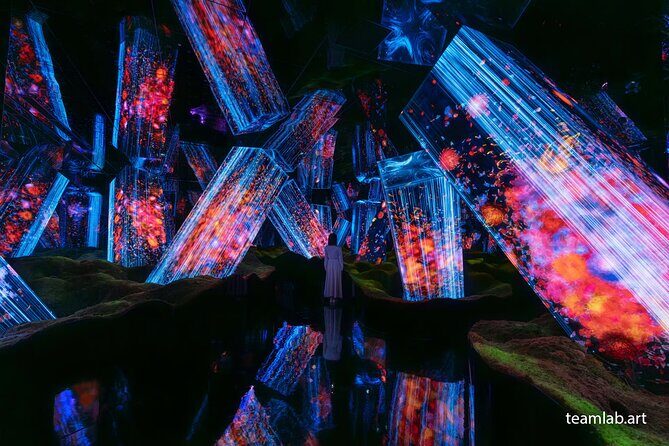 Kyoto TeamLab Biovortex & Kyoto Walking Tour - TeamLab Biovortex Kyoto: Interactive Art Inspired by Nature and the Human Body