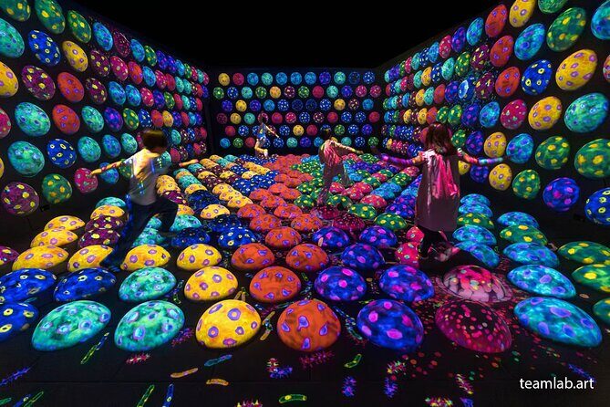 Kyoto TeamLab Biovortex & Kyoto Walking Tour - How the Timing and Group Size Make It Manageable