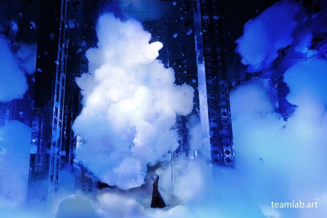 Kyoto TeamLab Biovortex & Kyoto Walking Tour - Price and Value: Why $72 Feels Fair Here
