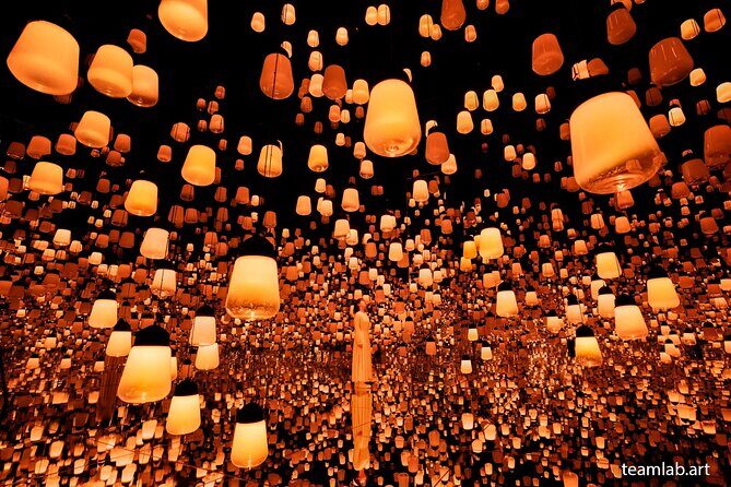 Kyoto TeamLab Biovortex & Kyoto Walking Tour - Who Should Book This Tour