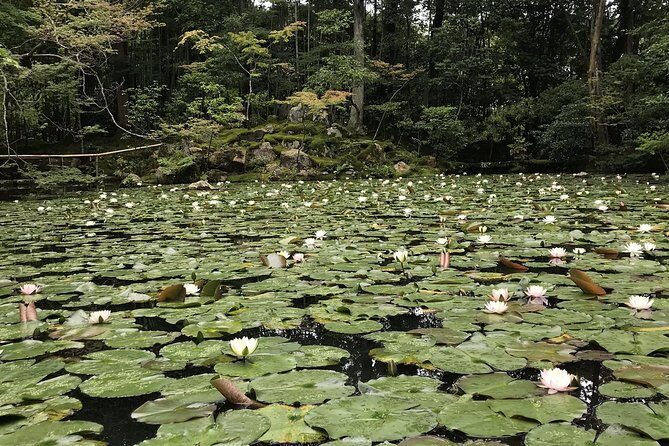Kyoto: The Path Less Traveled (Private) - The 8-Hour Plan: Calm Timing and Built-In Flexibility