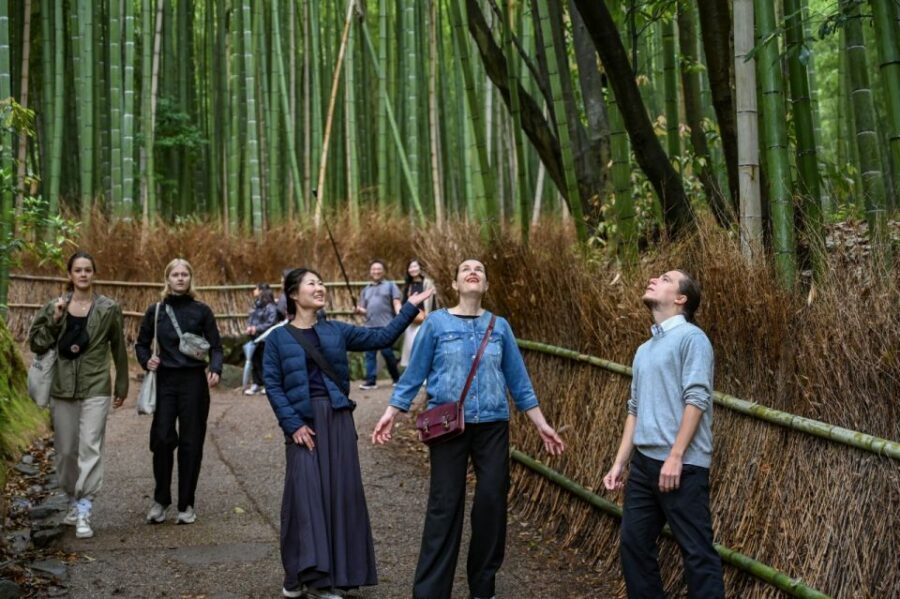 Kyoto to Arashiyama Day Trip - Private & Personalized - Tenryū-ji Temple: the garden you can feel in your feet