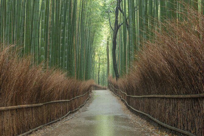 Kyoto top must-see Golden pavilion and Bamboo forest half-day Private tour - Kinkaku-ji (Golden Pavilion): the 50-minute “wow” stop
