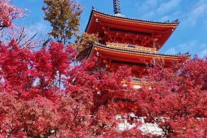 Kyoto tour 12 hours Private Nagoya pick up available - Stop 1: Arashiyama and the Togetsukyo Bridge Time Window