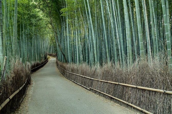 Kyoto Tour by Car from Kyoto Osaka Kobe - Meet Mitsuyuki: The Driver-Guide Style That Shapes Your Day