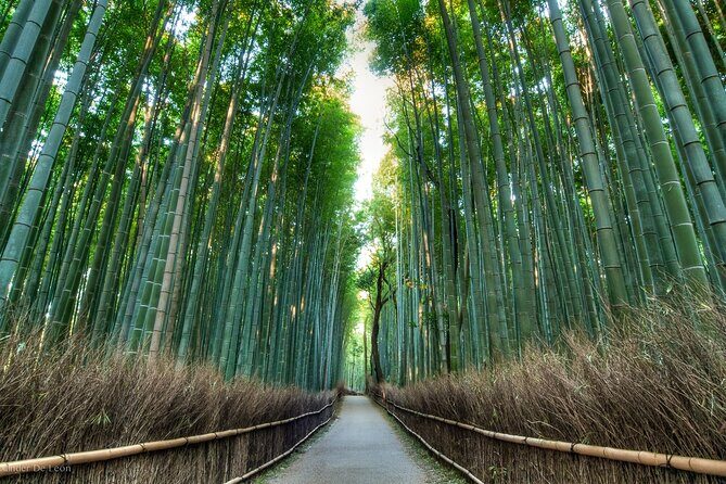 Kyoto tour with English Speaking Chauffeur - Stop 4: Ginkakuji (Silver Pavilion) for minimalist calm