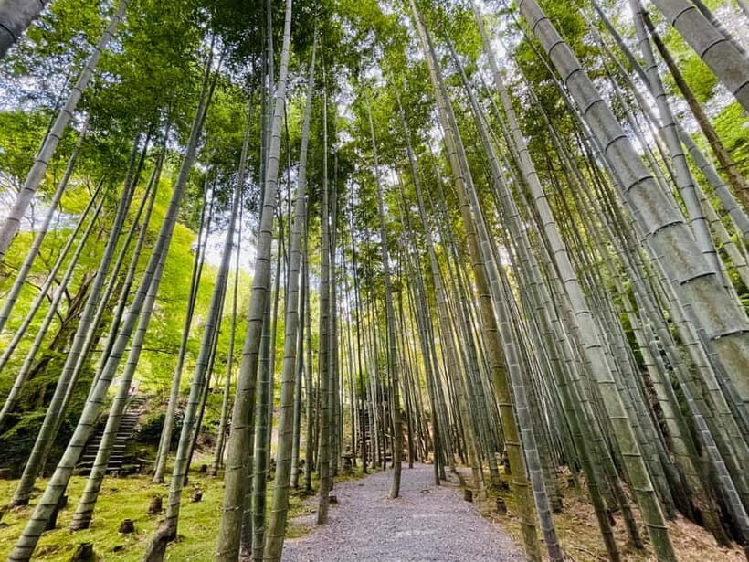 Kyoto : True Kyoto Avoid the crowds E-Bike Tour - Raku-chari Sanjo: Your Start Line in Central Kyoto