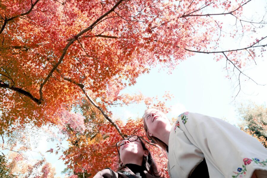 Kyoto: Try Nishijin Weaving in the Oldest Geisha District - Who this tour is for (and who should skip it)