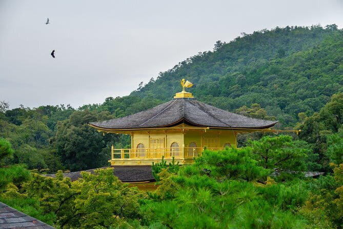 Kyoto & Uji: Full Day Sightseeing Tour from Osaka or Kyoto - How the Kyoto-to-Uji day is paced